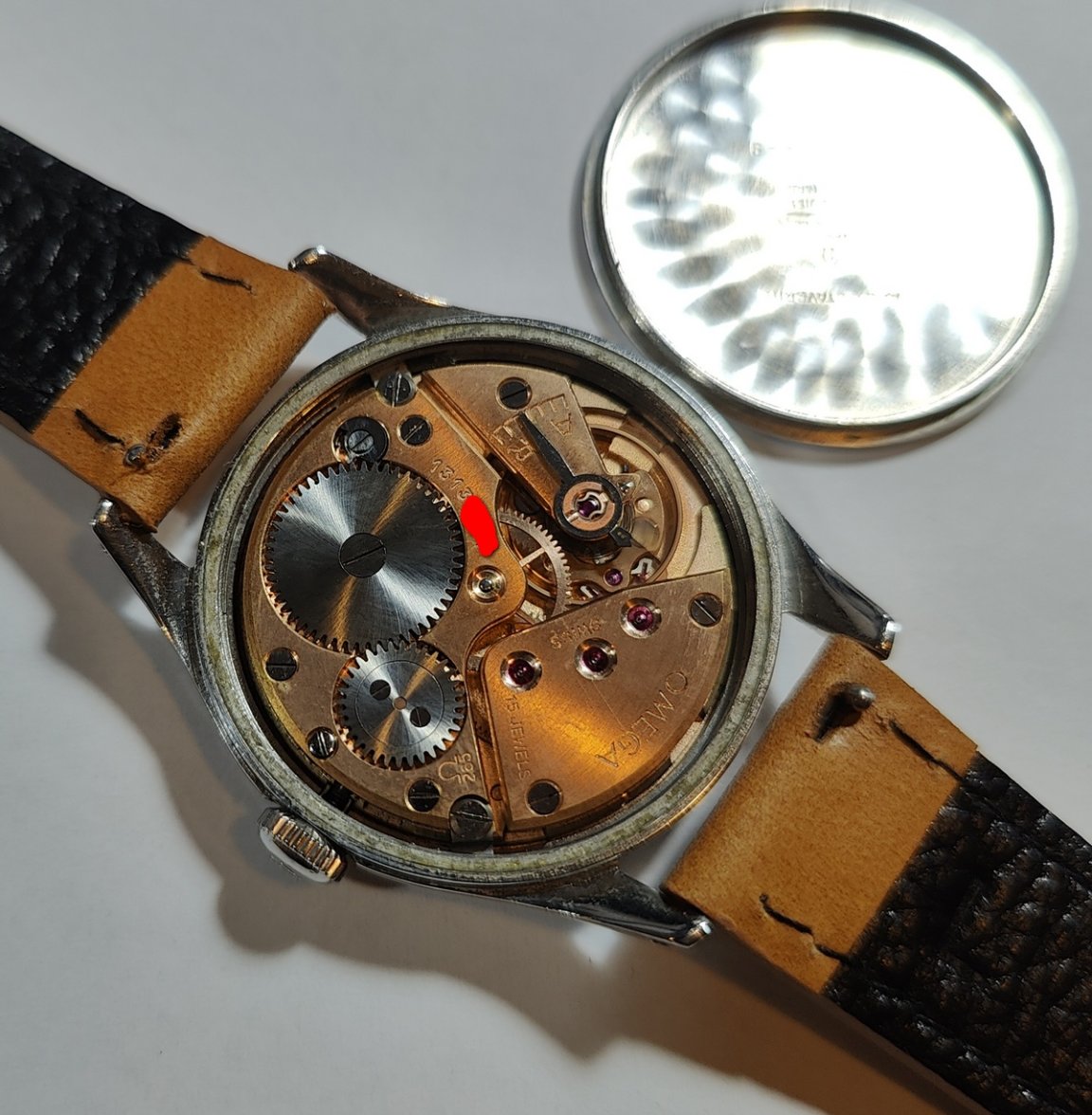 IMG20230830161402_01.jpg IMG20230830161402_01.jpg