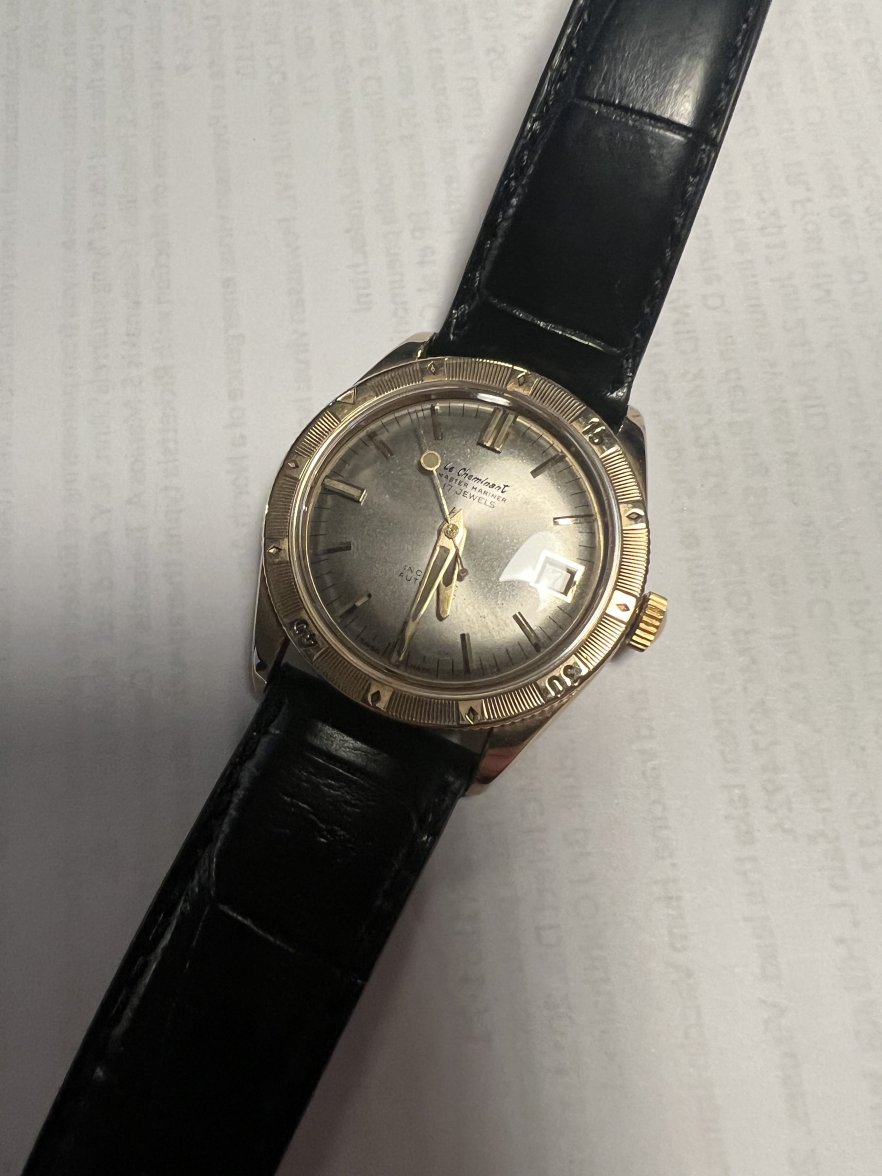 IMG_0721.jpeg IMG_0721.jpeg