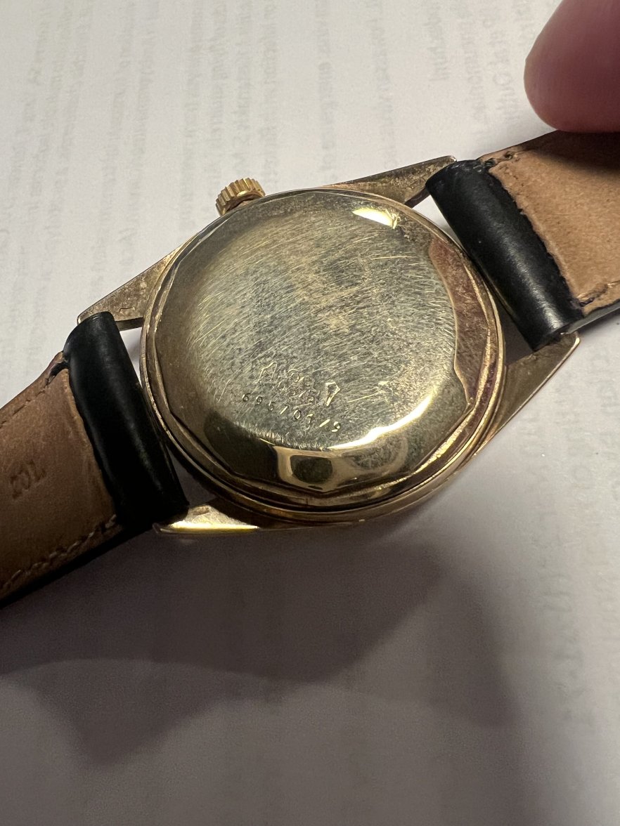 IMG_0722.jpeg IMG_0722.jpeg