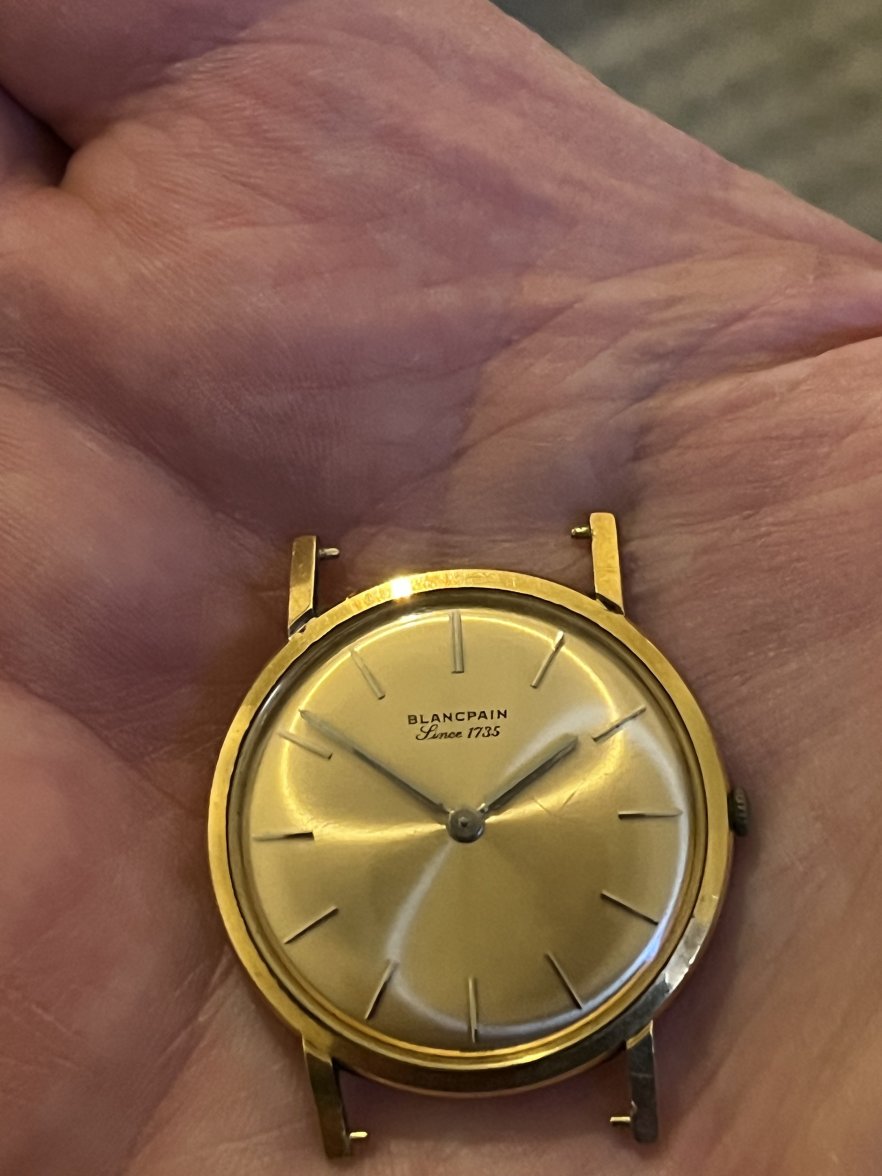 IMG_0729.jpeg IMG_0729.jpeg