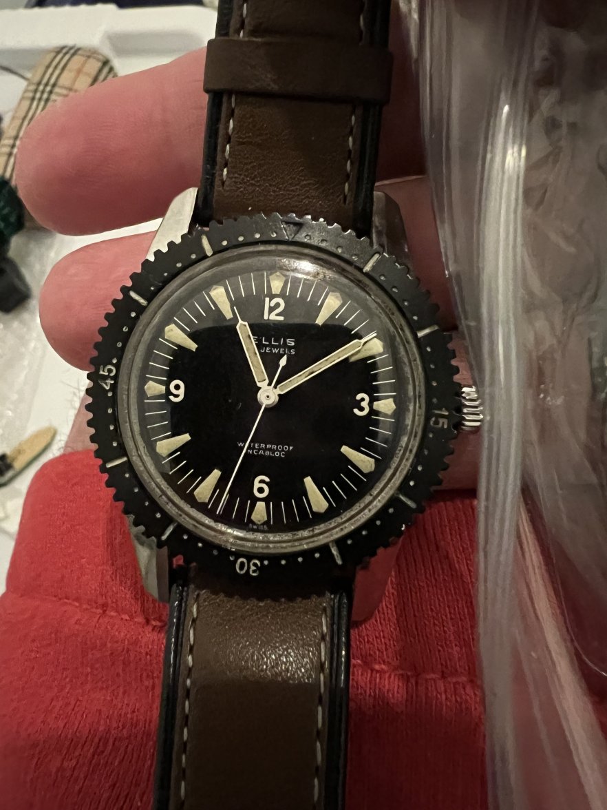 IMG_0730.jpeg IMG_0730.jpeg