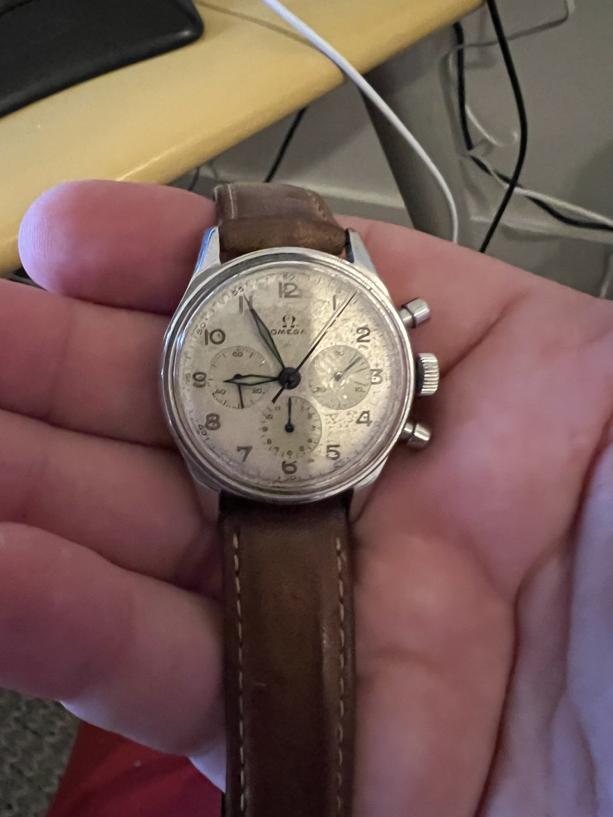 IMG_0737.jpeg IMG_0737.jpeg