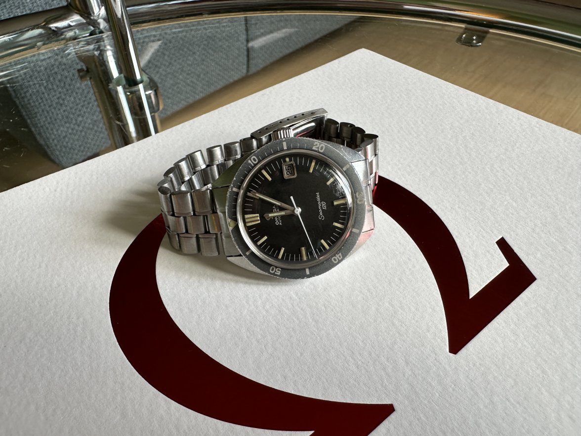 IMG_0465.jpeg IMG_0465.jpeg