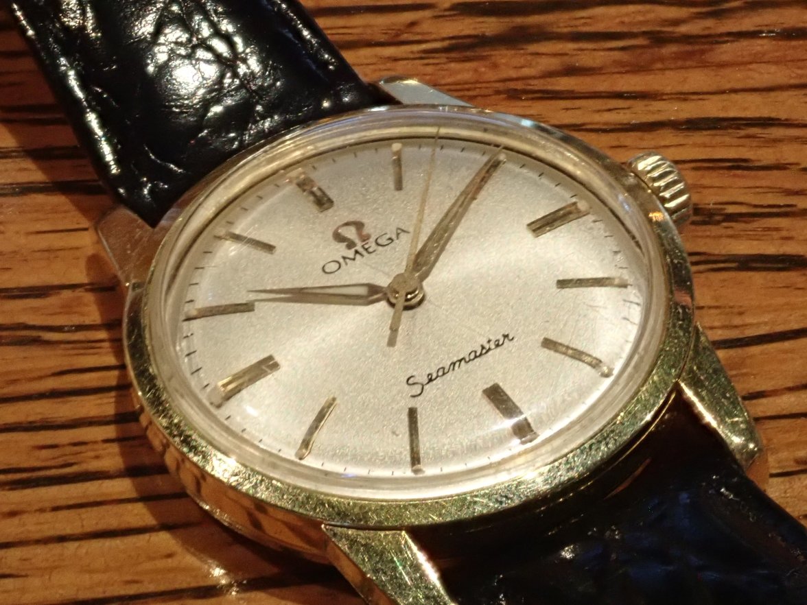 P9120073.jpeg P9120073.jpeg