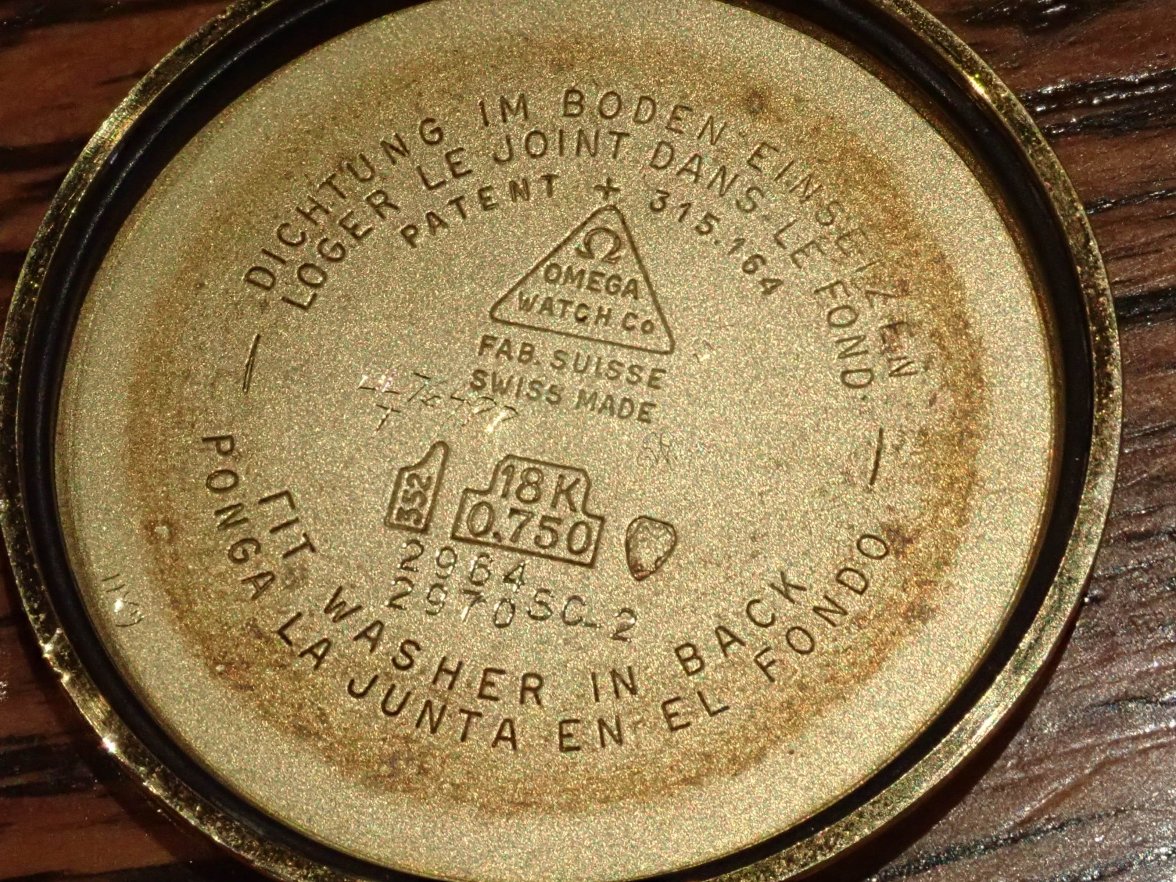 P9120071.jpeg P9120071.jpeg