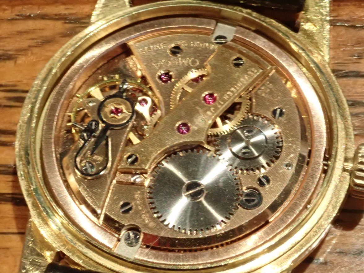 P9120069.jpeg P9120069.jpeg