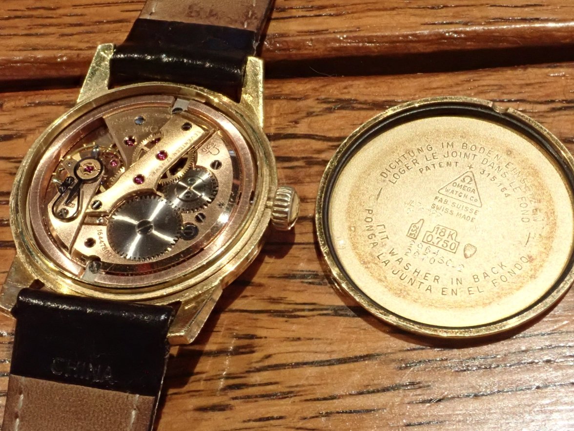 P9120067.jpeg P9120067.jpeg