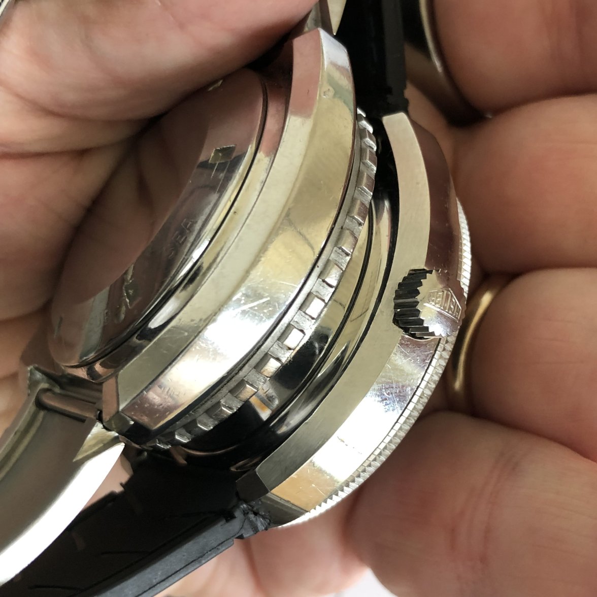 IMG_3166.jpeg IMG_3166.jpeg