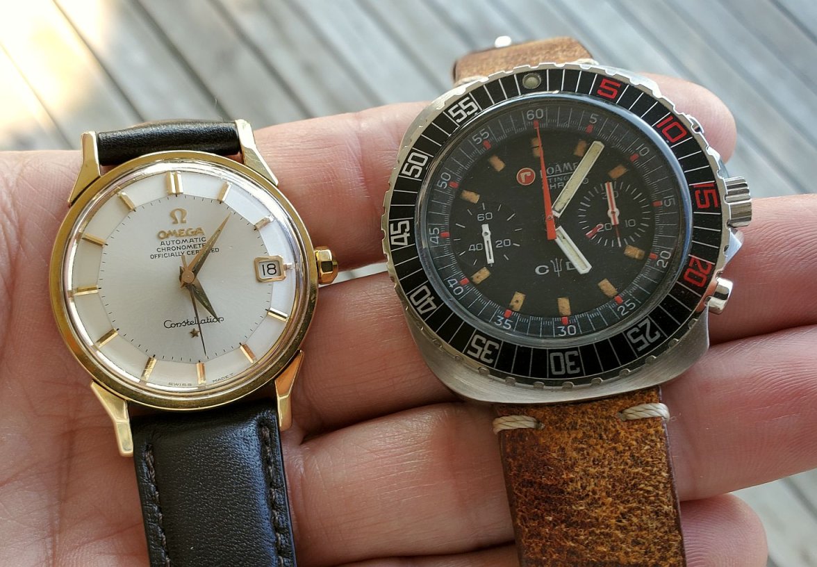 Roamer ws 4 with PP 20230918_175152.jpg