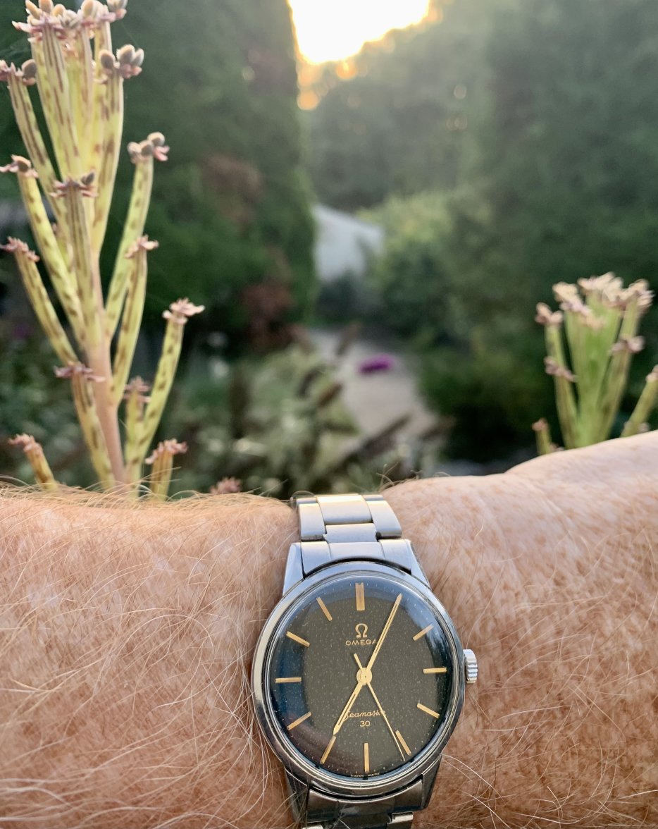 IMG_1740.jpeg IMG_1740.jpeg