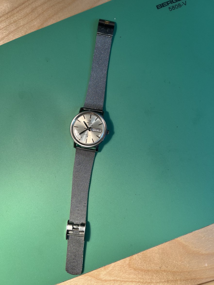 IMG_7945.jpeg IMG_7945.jpeg