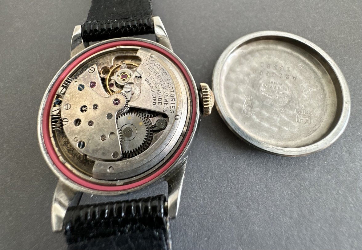 IMG_5828.jpeg IMG_5828.jpeg