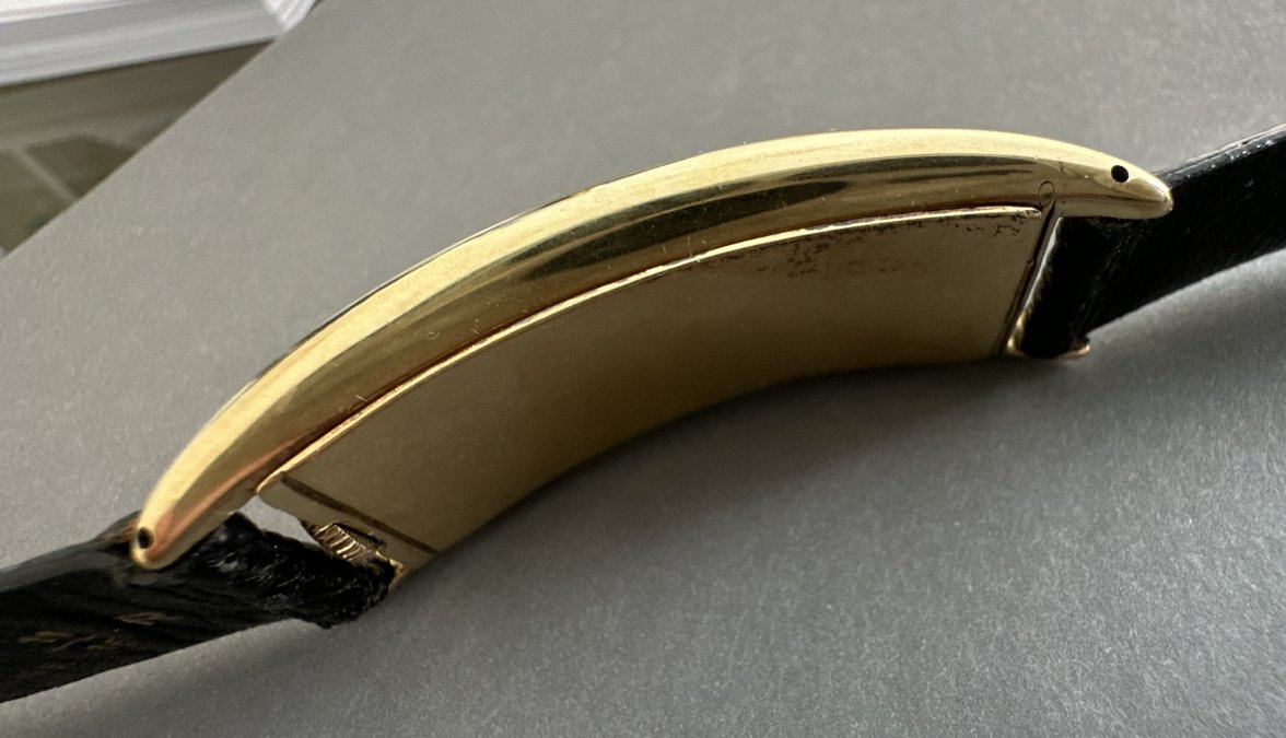 IMG_5831.jpeg IMG_5831.jpeg