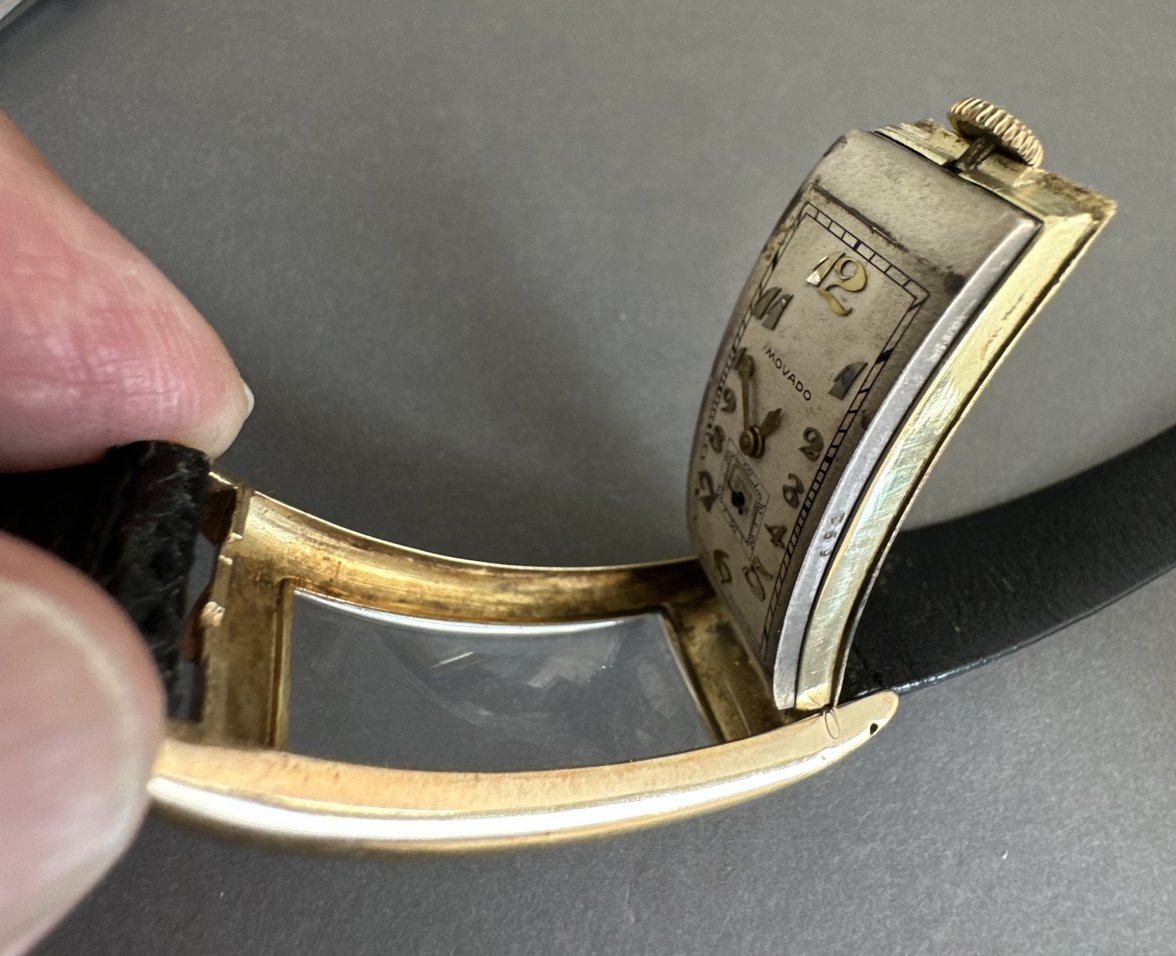 IMG_5833.jpeg IMG_5833.jpeg