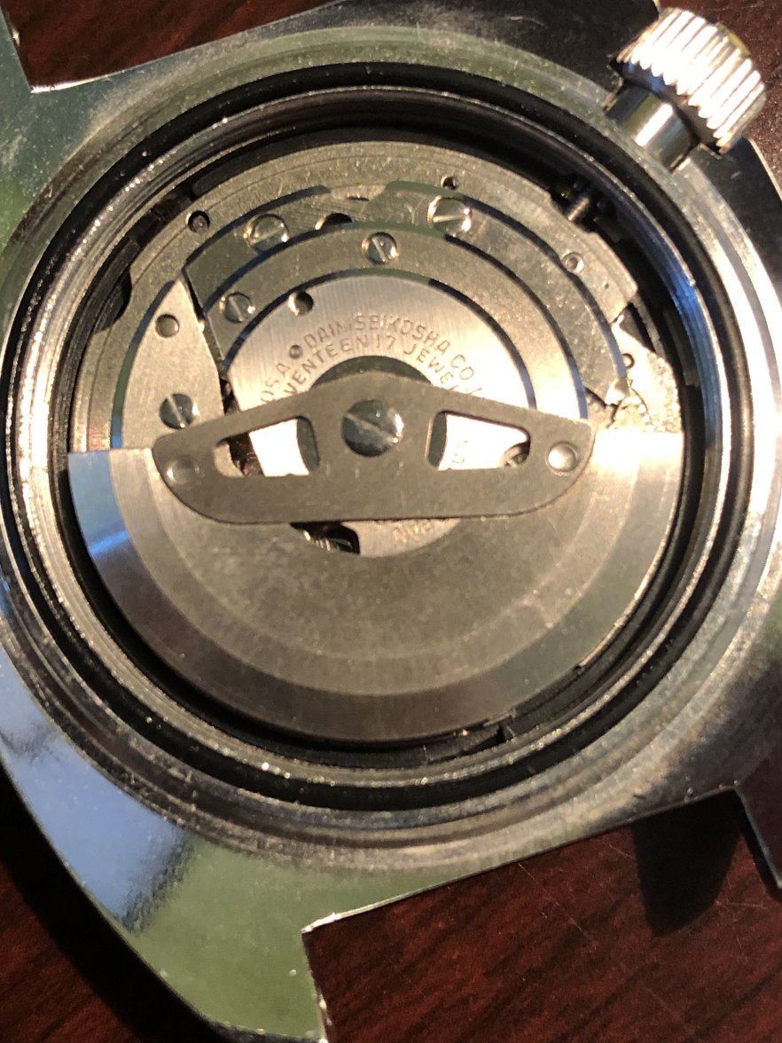 IMG_5993.jpeg IMG_5993.jpeg