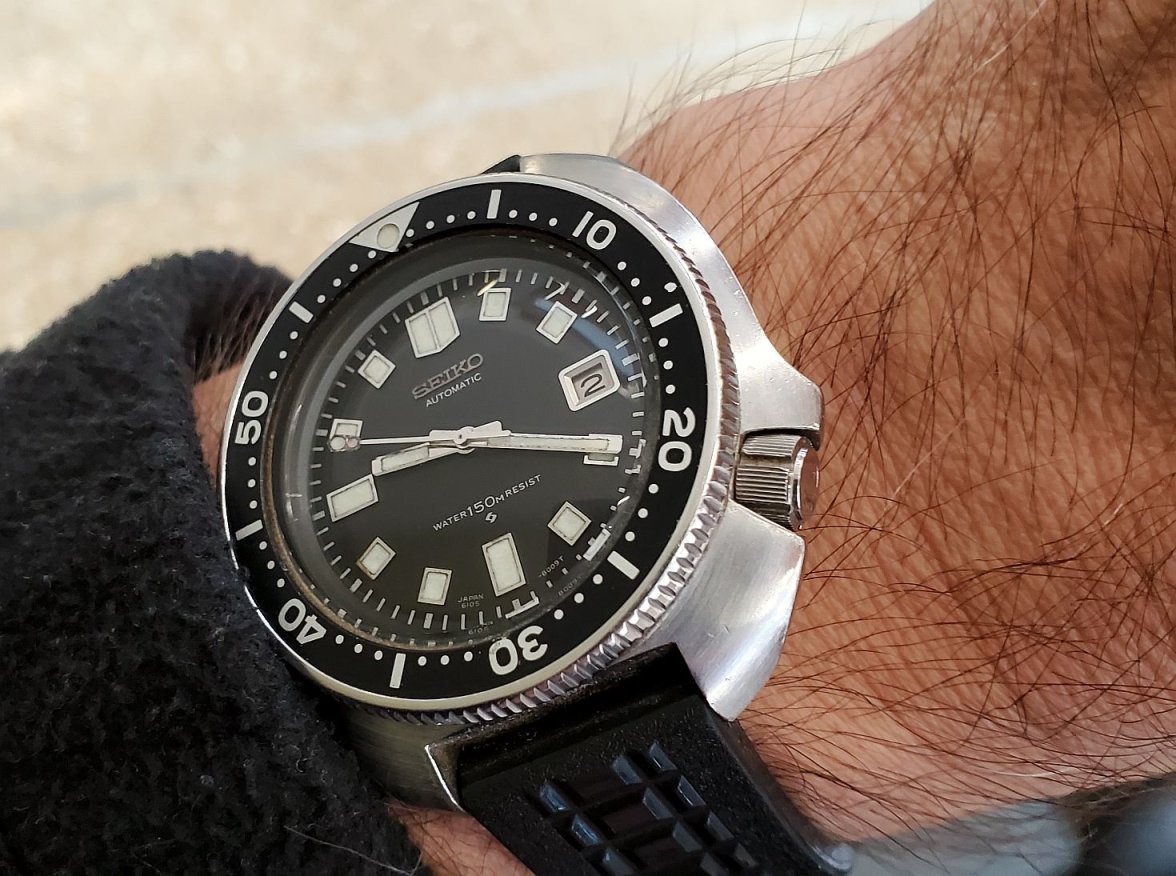 Willard ws 1 20231002_091949.jpg