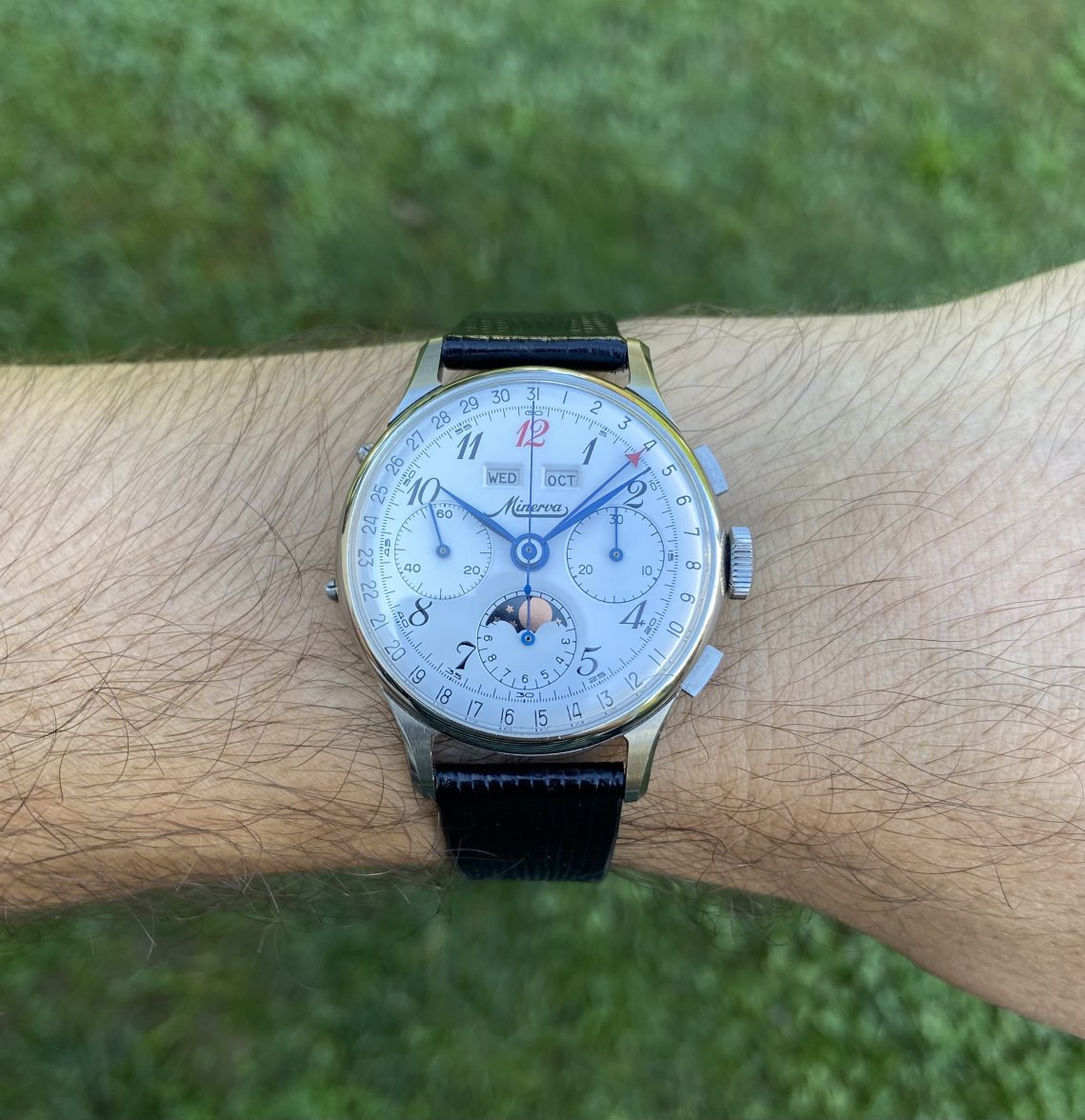 IMG_7161.jpeg IMG_7161.jpeg