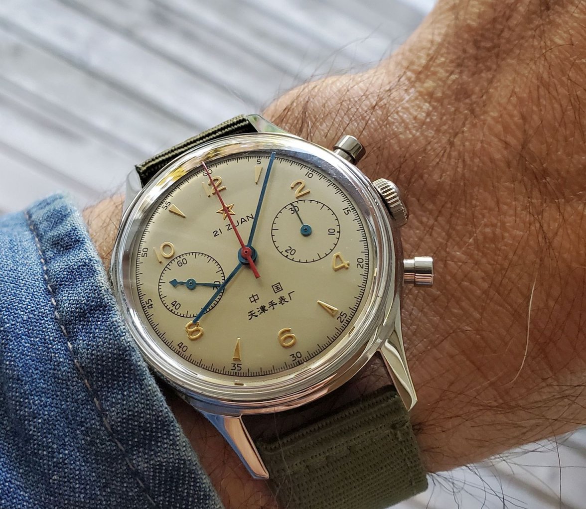 Seagull ws 1 20231007_080619.jpg