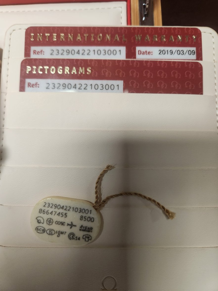 1000026647.jpg 1000026647.jpg