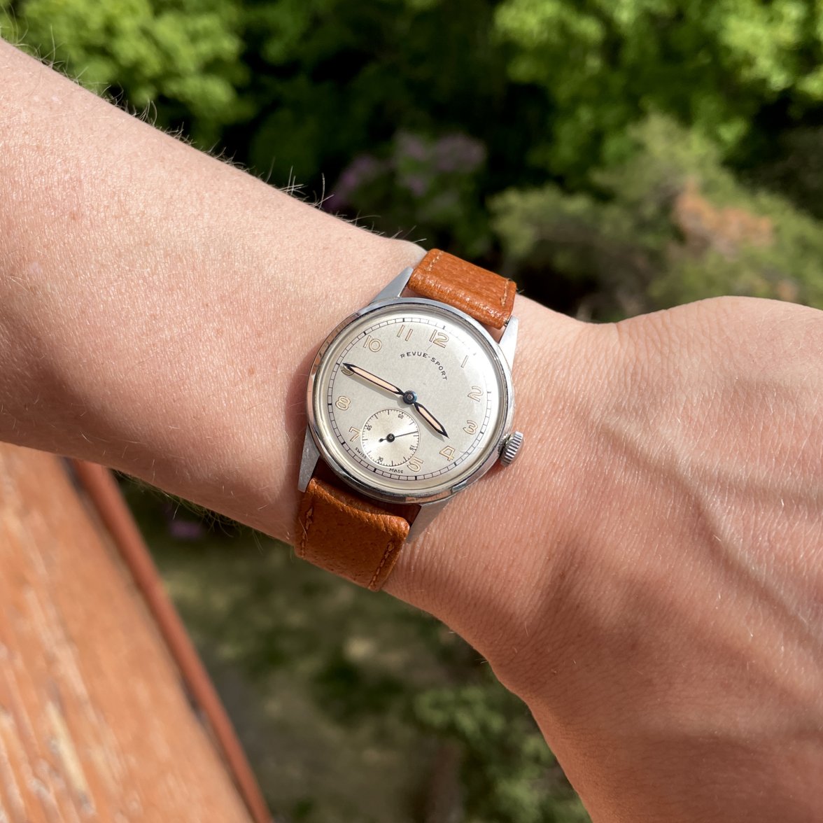 IMG_1087.jpg IMG_1087.jpg