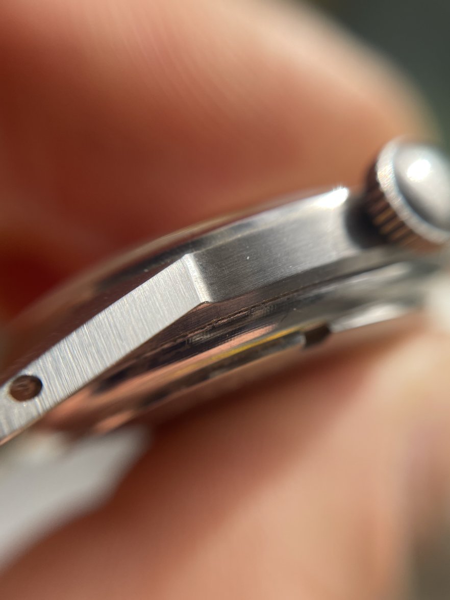 IMG_3100.JPG IMG_3100.JPG