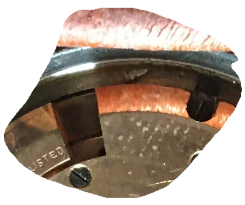 IMG_7851.png IMG_7851.png