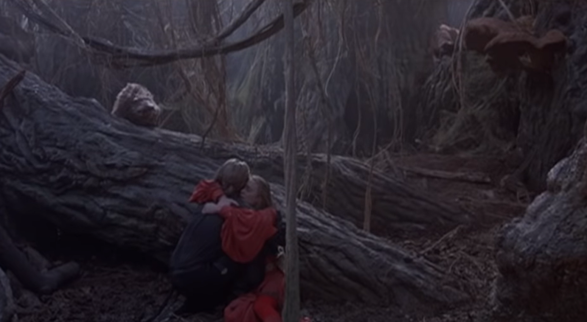 Westley and Buttercup in the Fire Swamp.png