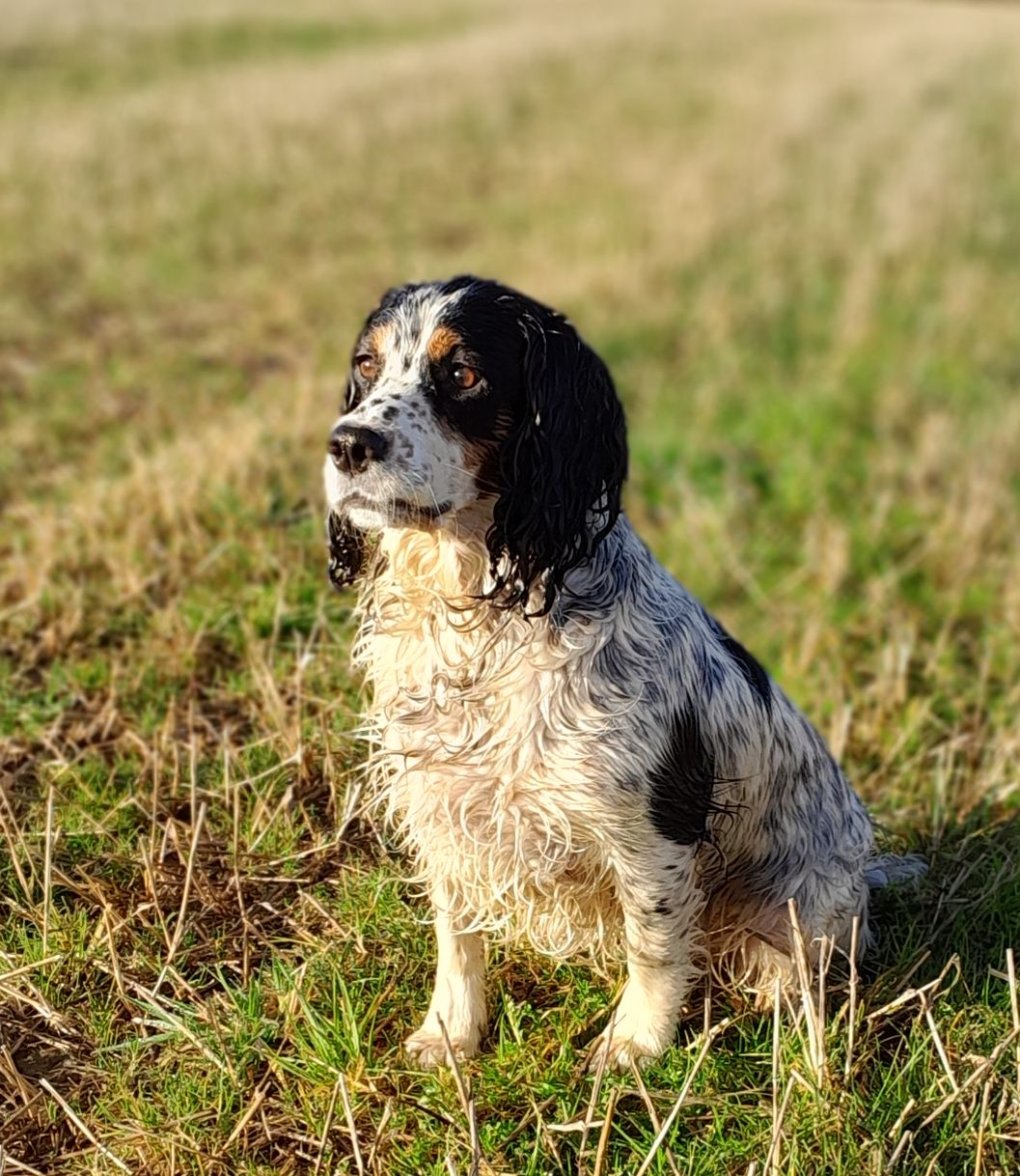 INCA at BOGNIE 2 041123.jpg