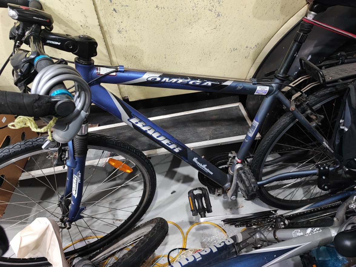 IMG_20231106_130408.jpg IMG_20231106_130408.jpg