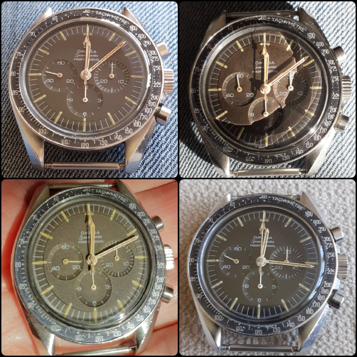 20231110_121908.jpg 20231110_121908.jpg