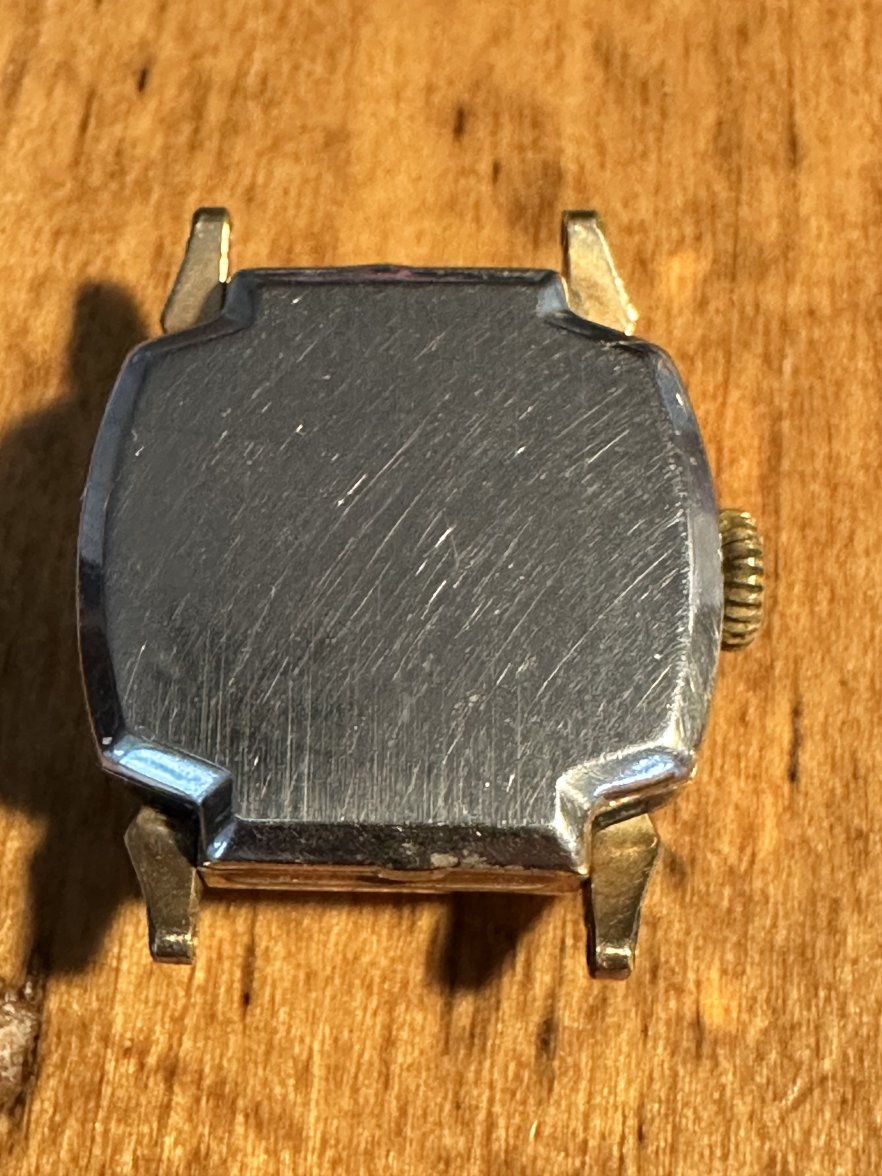 IMG_6459.jpeg IMG_6459.jpeg