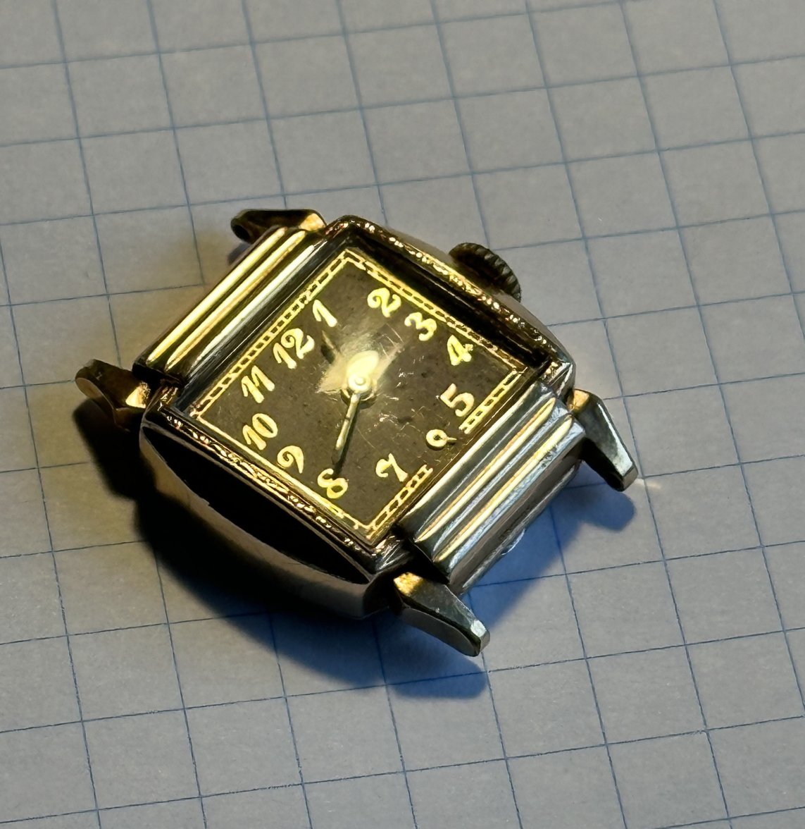 IMG_6461.jpeg IMG_6461.jpeg