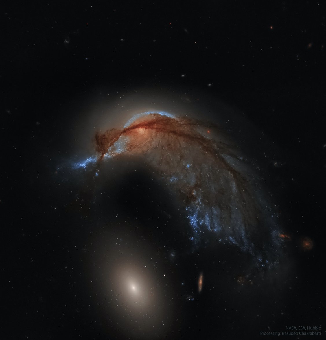 Arp142_HubbleChakrabarti_2627.jpg