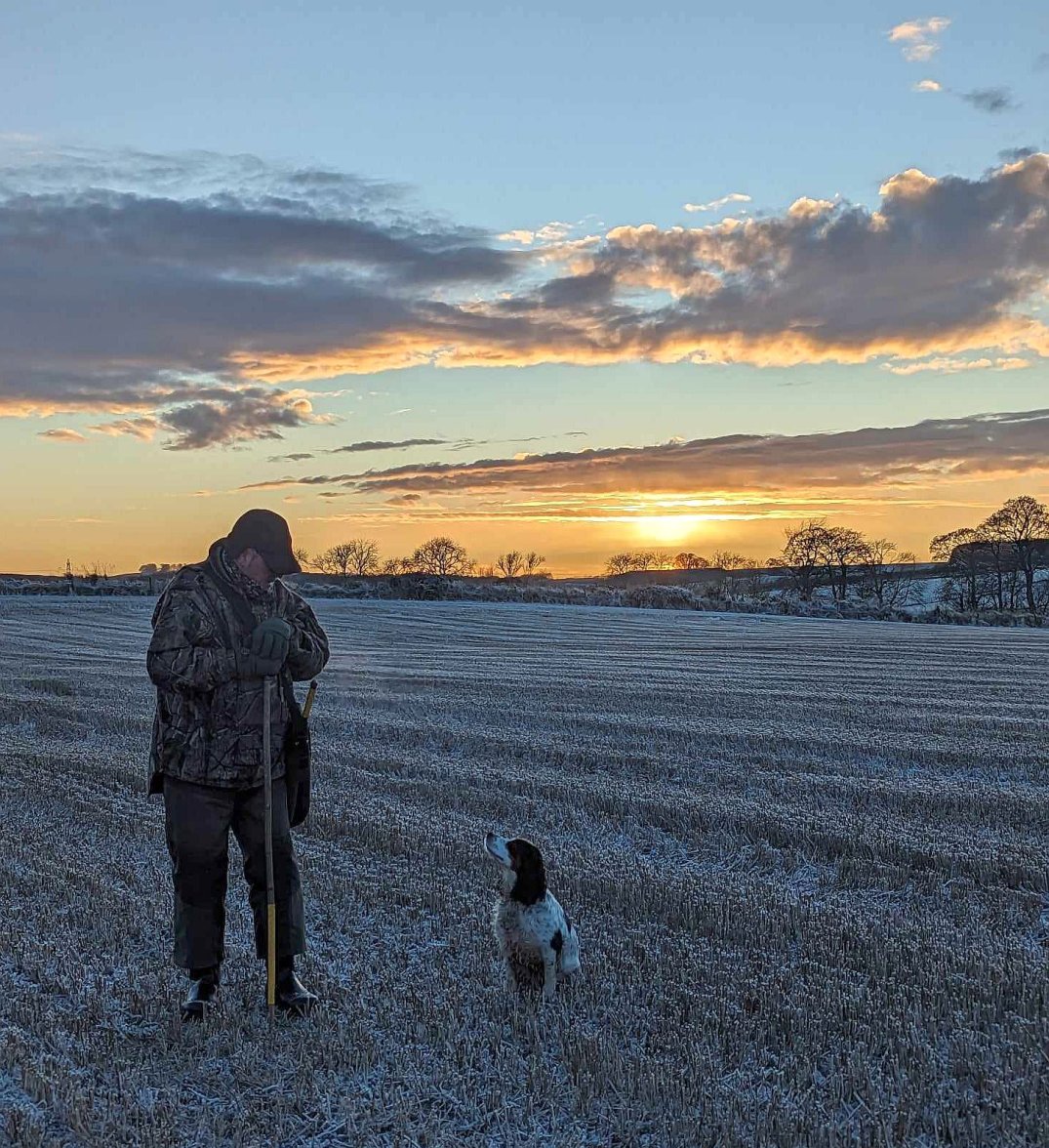 BOGNIE CONLAND STRIP 1b 021223.jpg