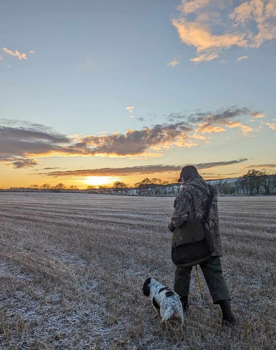 BOGNIE CONLAND STRIP 3b 021223.jpg