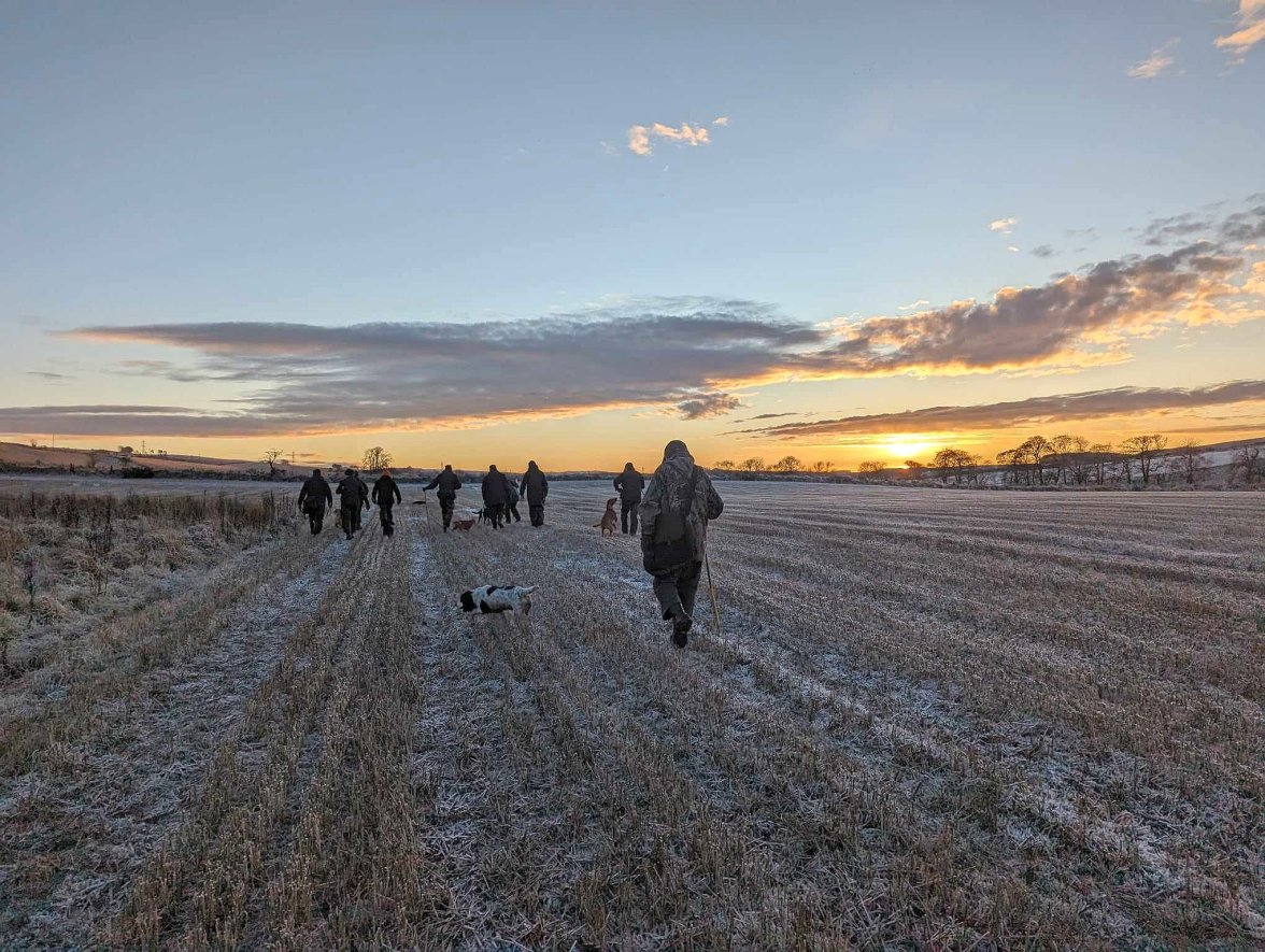 BOGNIE CONLAND STRIP 4b 021223.jpg