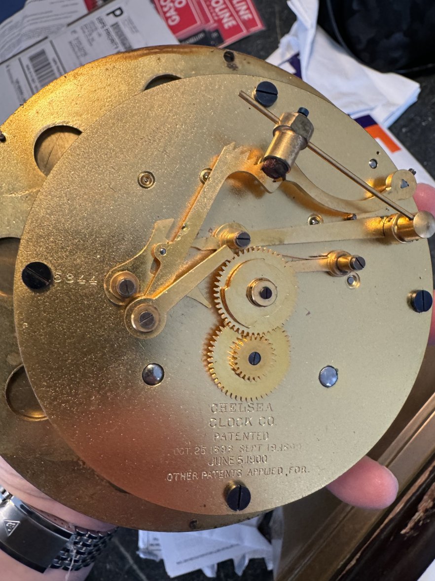 IMG_5802.jpeg IMG_5802.jpeg