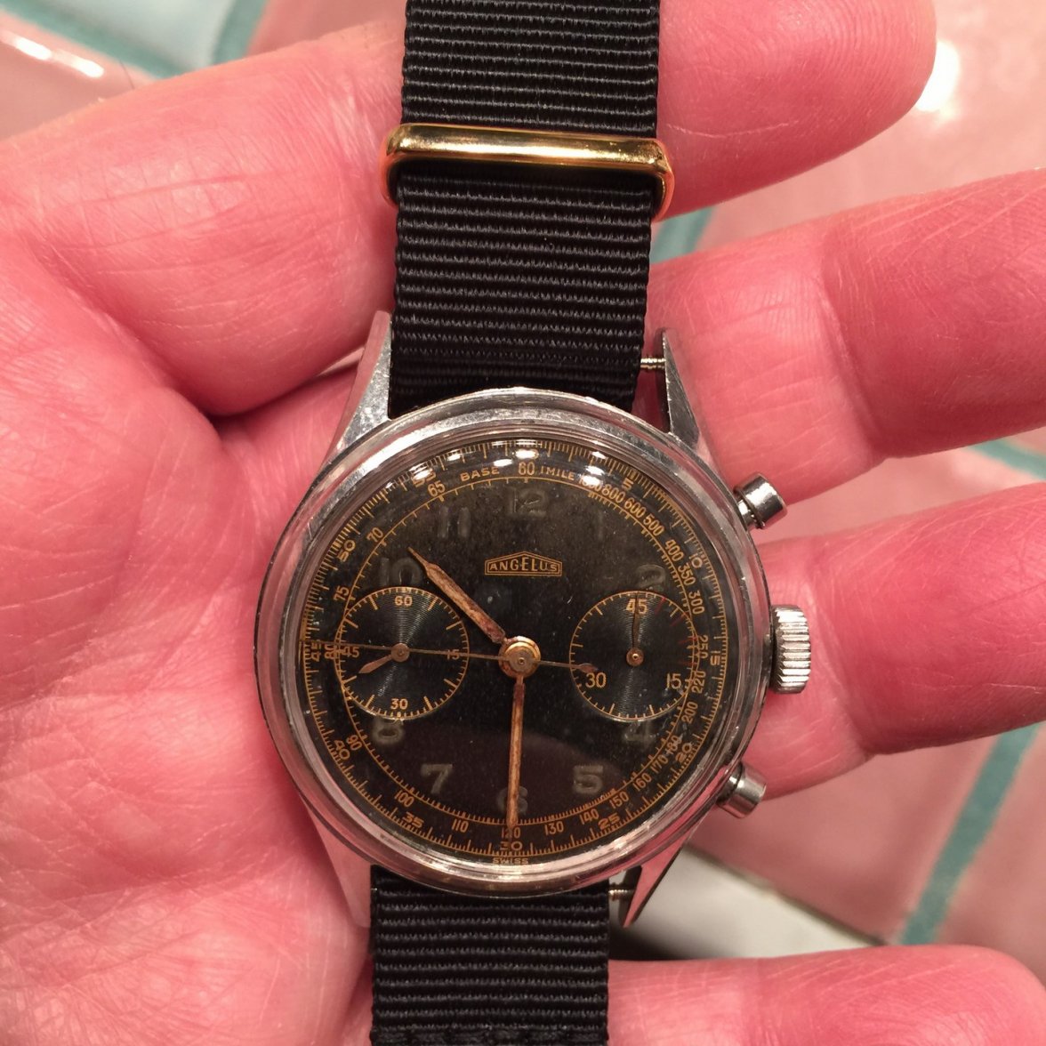 Post COA 2015 (Copy).JPG