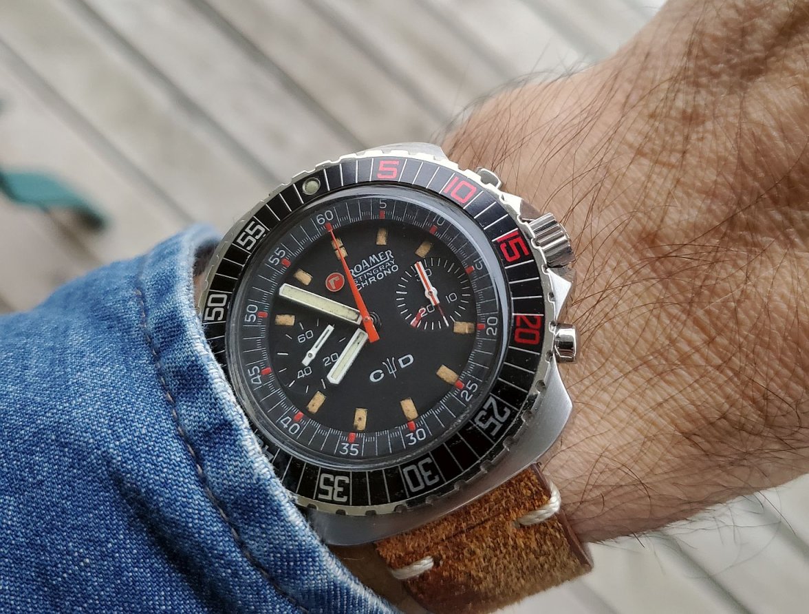 Roamer ws 1 20231222_075856.jpg