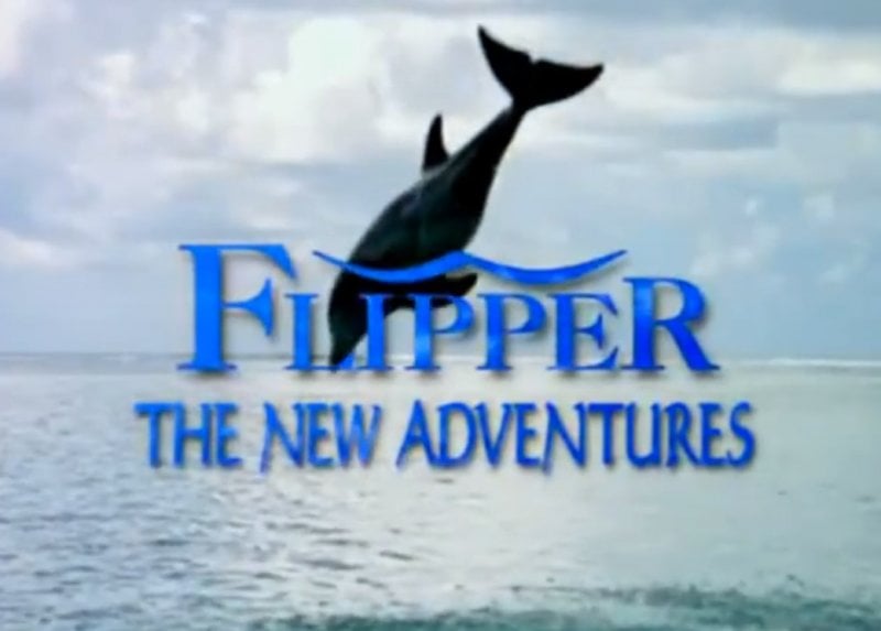 flipper-1995511079-tv.jpg