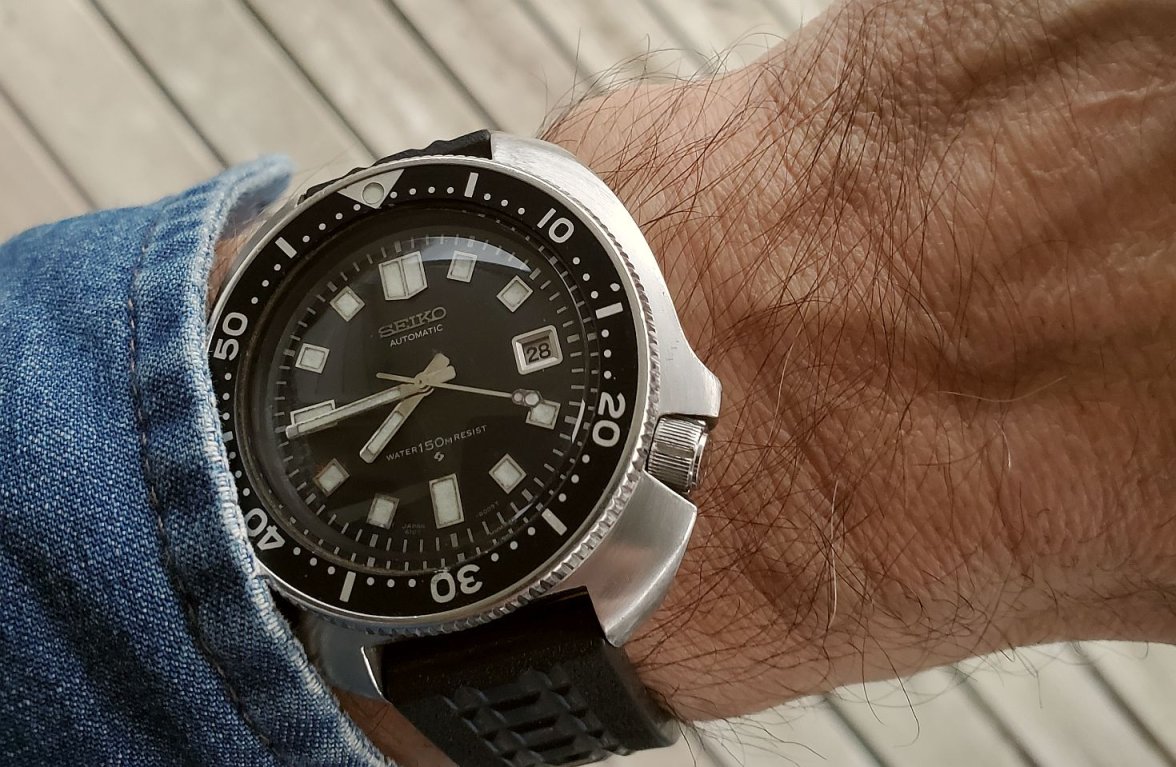 Willard ws 1b 20231228_074432.jpg