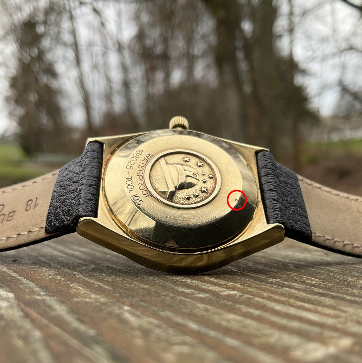 Thoughts on 18K Constellation 168.025 pie-pan tuxedo | Omega Watch