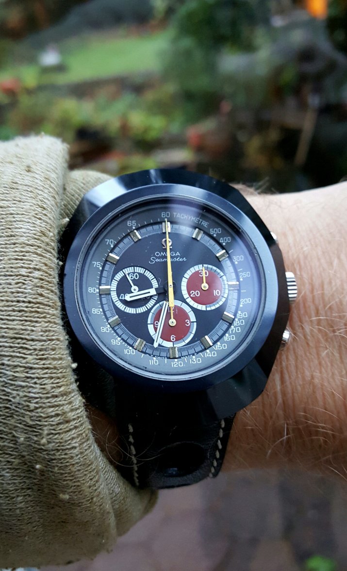 2015-11-17 08.34.20.jpg