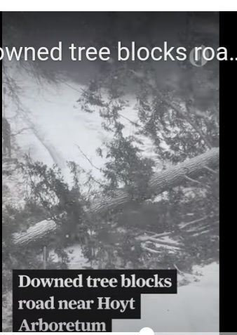 Screenshot_20240113_162058_Samsung Internet.jpg