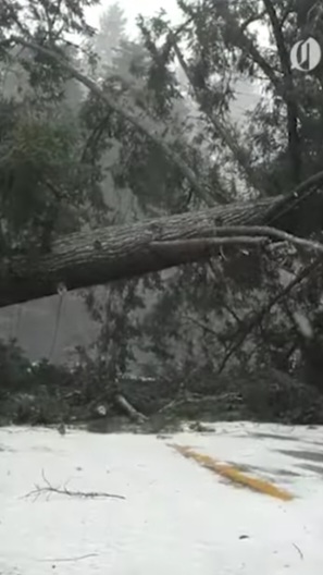 Screenshot_20240113_162053_Samsung Internet.jpg