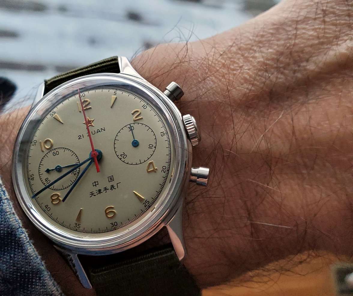 Seagull ws 1 20240114_074220.jpg