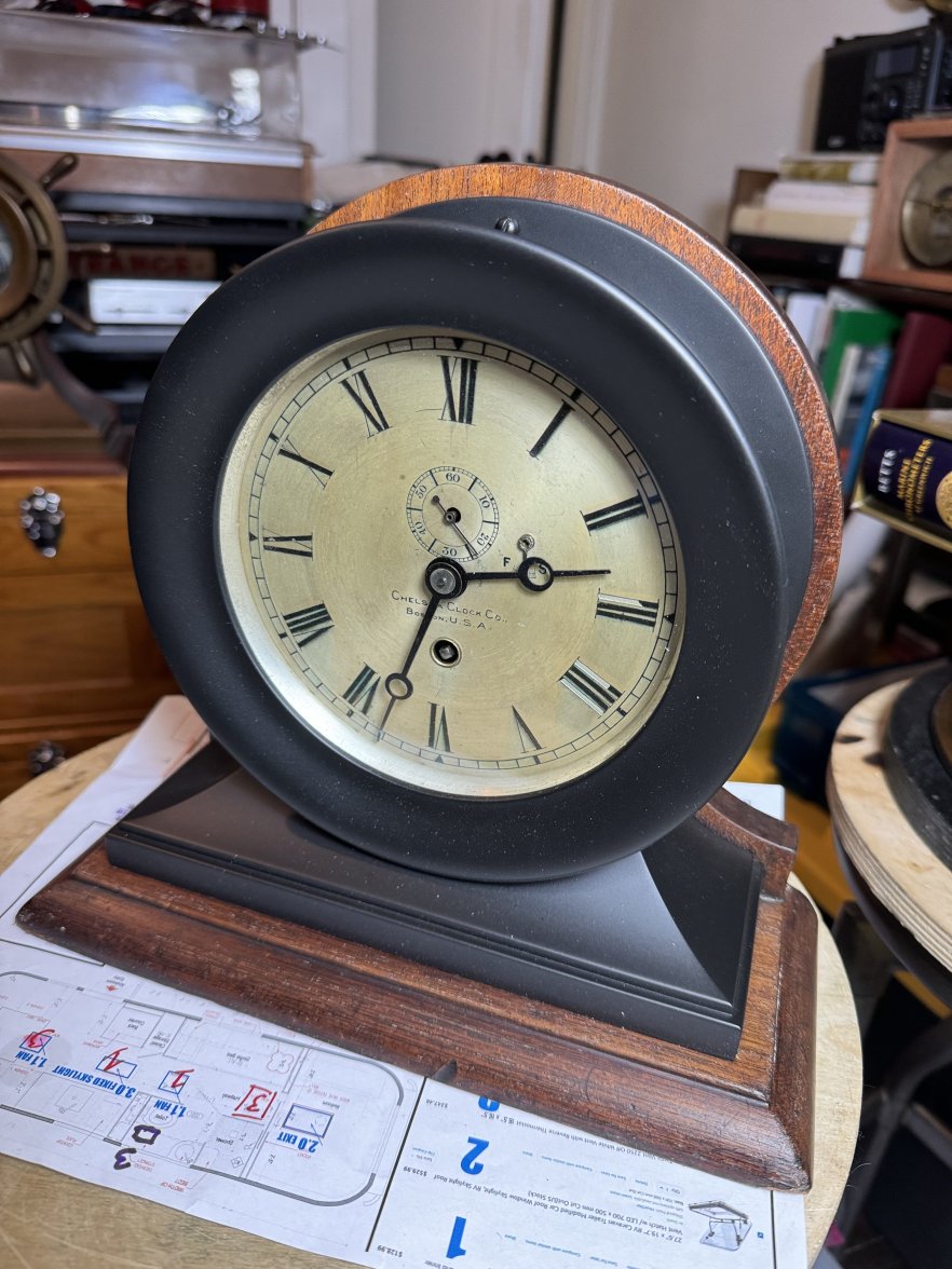 IMG_7843.jpeg IMG_7843.jpeg