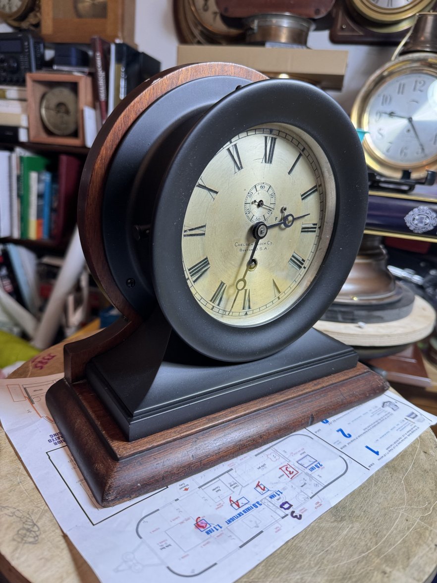 IMG_7842.jpeg IMG_7842.jpeg