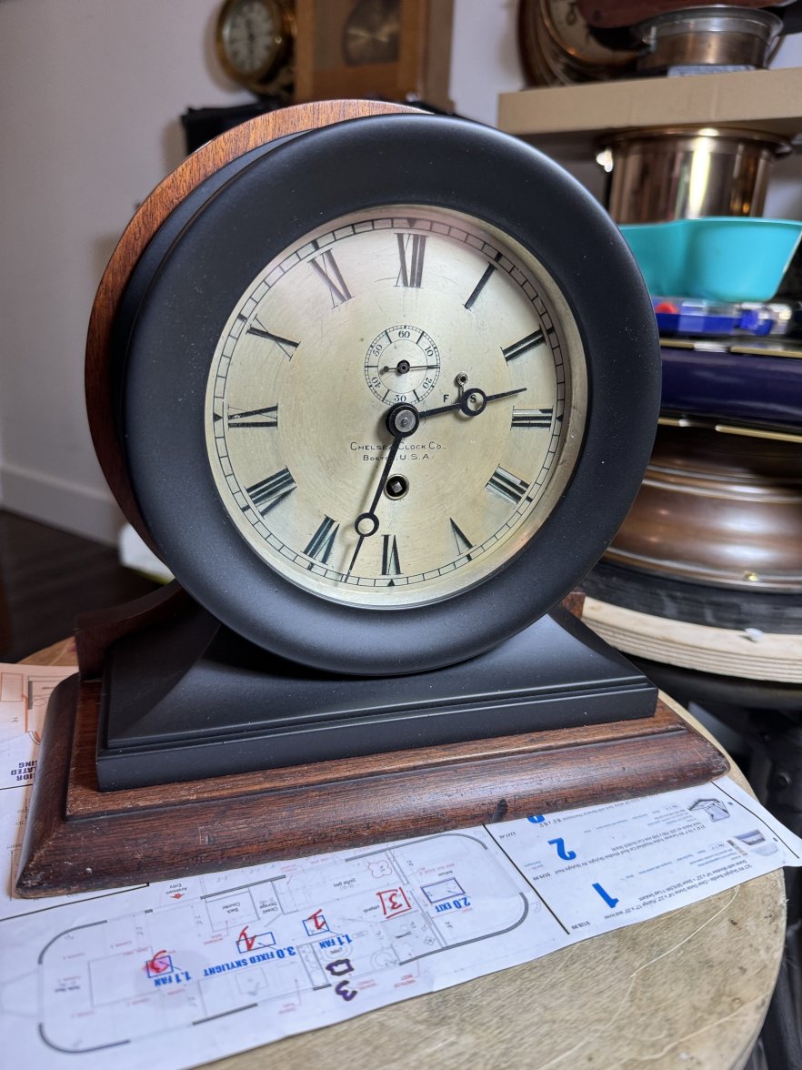 IMG_7841.jpeg IMG_7841.jpeg