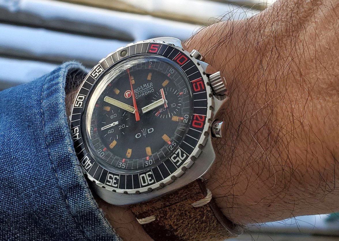 Roamer ws 3 20240121_145145.jpg